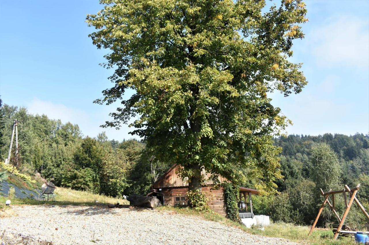 Chata Z Bali -Domek W Gorach ,,Filipkowy Raj"- Limanowa Nowy Sacz Beskidy Krakow Villa Rozdziele Exterior photo